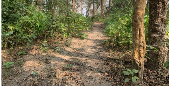 Detailed Engineering Survey, Detailed Design and Report Preparation (DPR) of Riu Khola (Bankatta)–Deurali–New Bridge at Dhruwaghat–Jagatpur Road Section